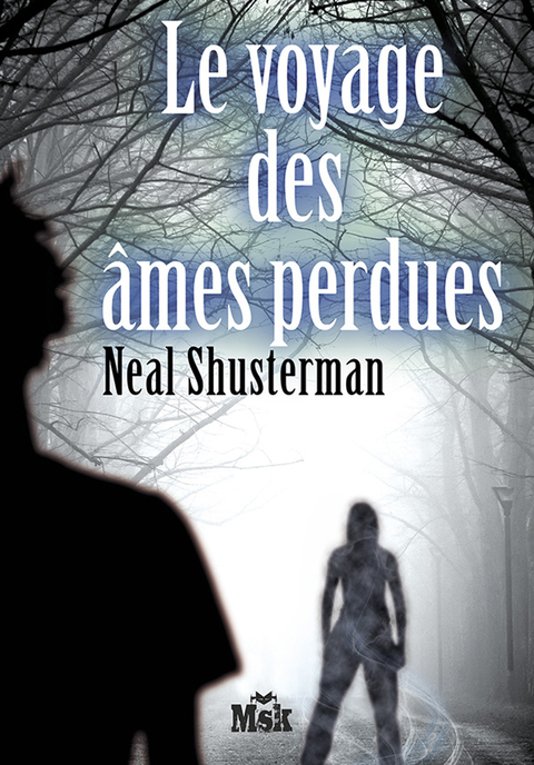 Cover image for book Le voyage des âmes perdues