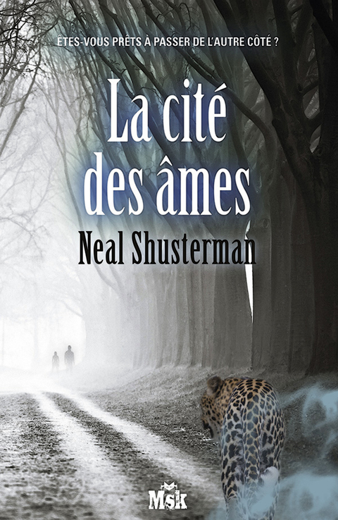 Cover image for book La cité des âmes
