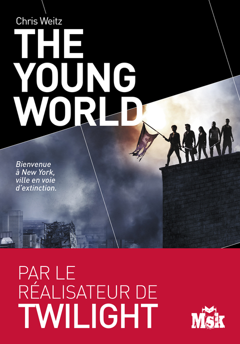 Cover image for book The Young World