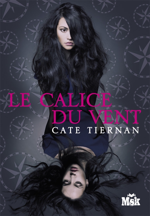 Cover image for book Le calice du vent