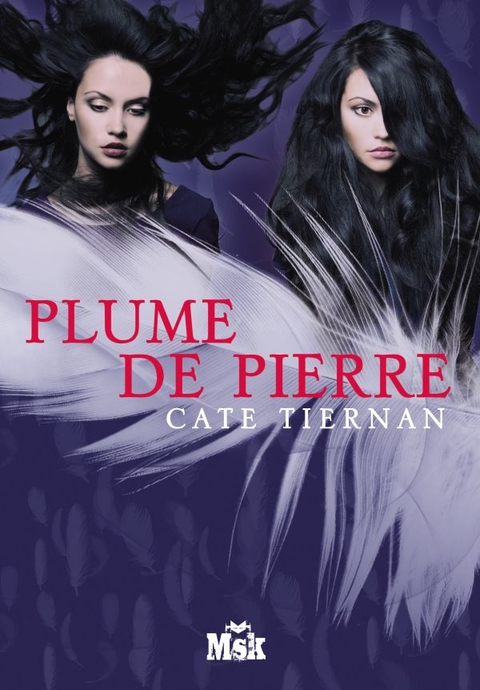 Cover image for book Plume de pierre