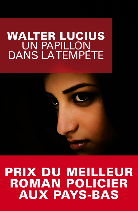 Cover image for book Un papillon dans la tempête