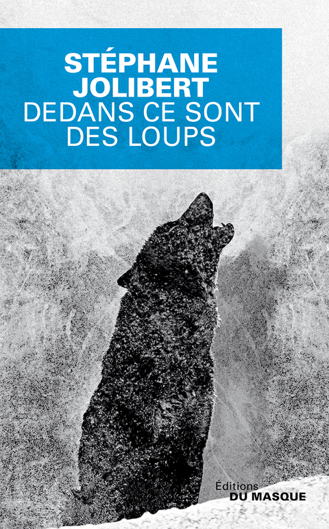 Cover image for book Dedans ce sont des loups