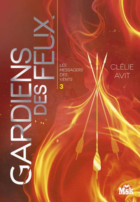 Cover image for book Gardiens des feux