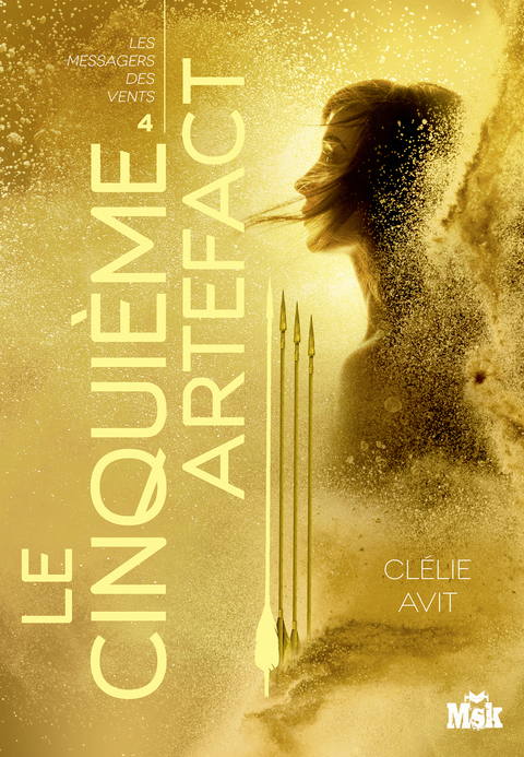 Cover image for book Le cinquième artefact