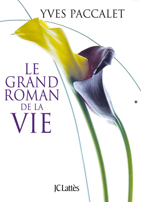 Cover image for book Le grand roman de la vie