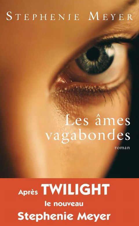 Cover image for book Les âmes vagabondes