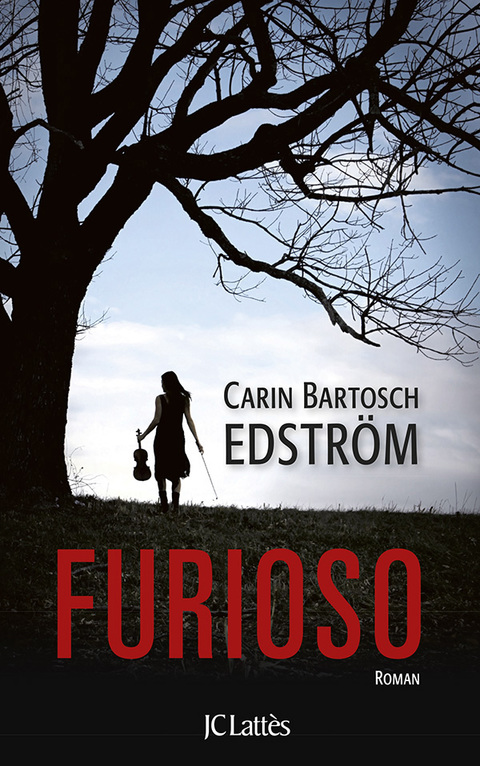 Cover image for book Furioso