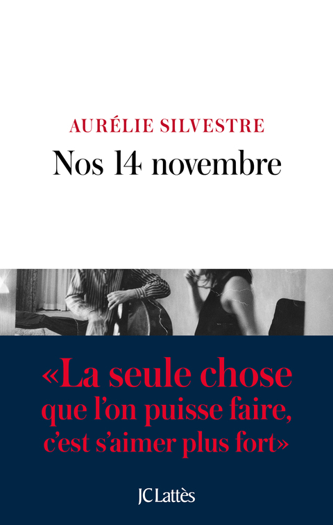 Cover image for book Nos 14 novembre