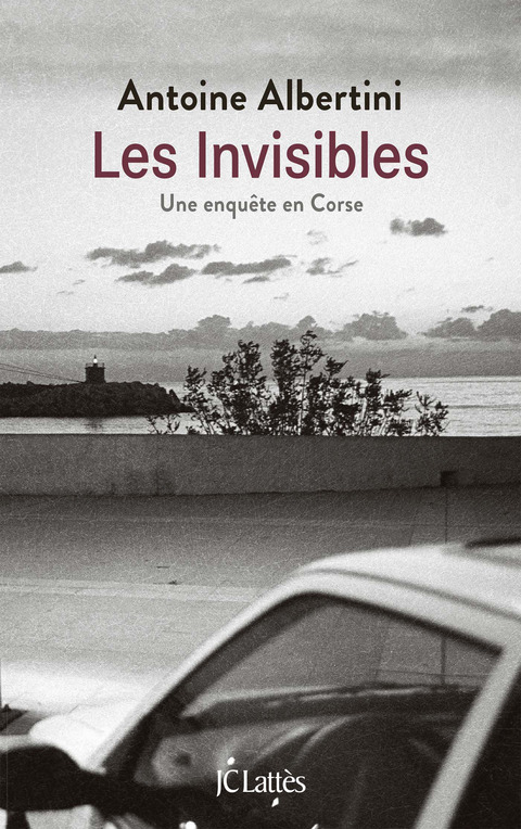 Cover image for book Les invisibles