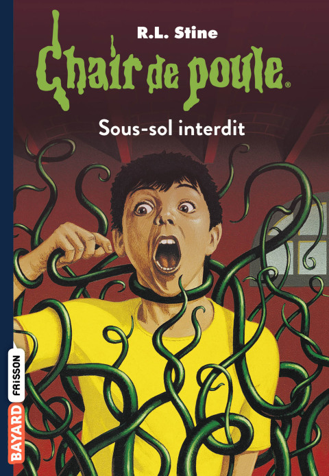 Cover image for book Chair de poule , Tome 17