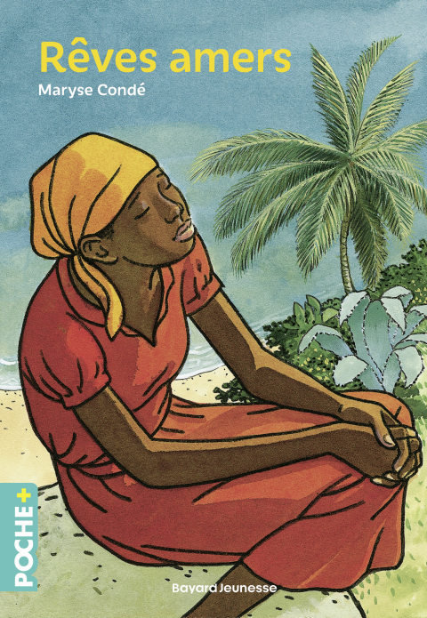 Cover image for book Rêves amers