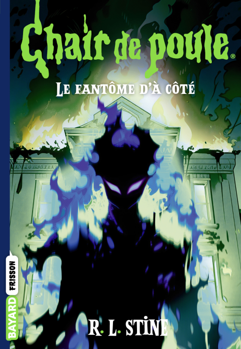 Cover image for book Chair de poule , Tome 13