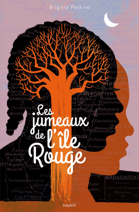 Cover image for book Les jumeaux de l'île rouge