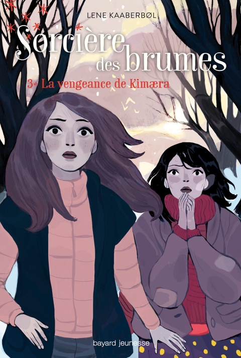 Cover image for book Sorcière des brumes, Tome 03