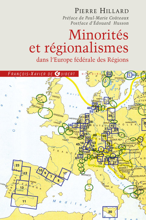 Cover image for book Minorités et régionalismes dans l'Europe fédérale des Régions