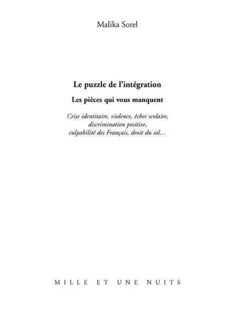 Cover image for book Le Puzzle de l'intégration