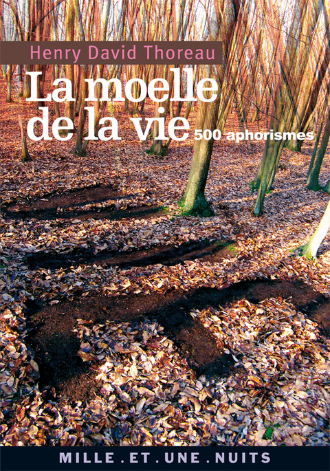 Cover image for book La Moelle de la vie