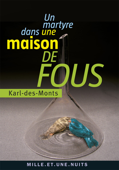 Cover image for book Un martyre dans une maison de fous