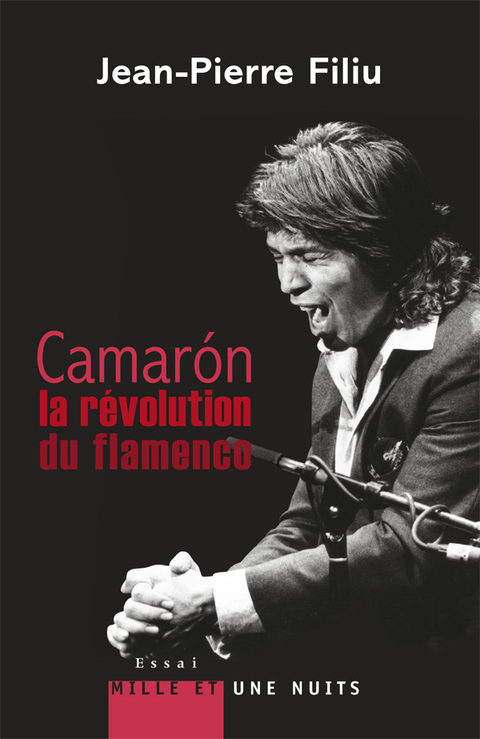 Cover image for book Camarón, la révolution du flamenco