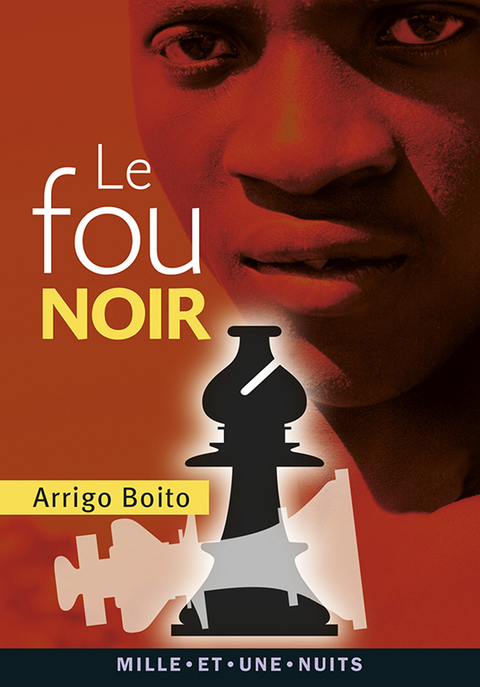 Cover image for book Le Fou noir