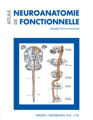Atlas de neuroanatomie fonctionnelle