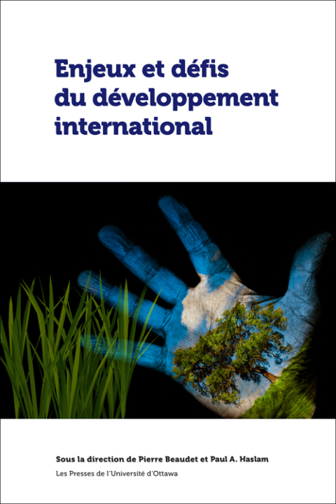 Cover image for book Enjeux et défis du développement international