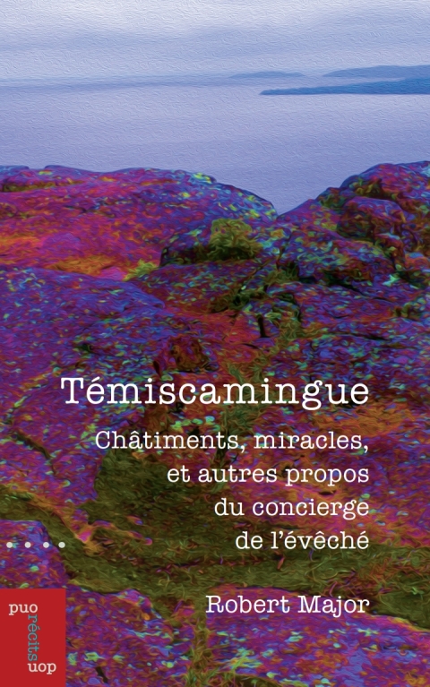 Cover image for book Témiscamingue