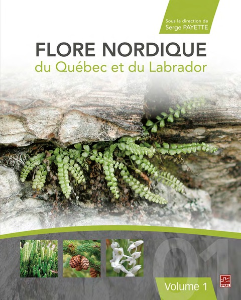 Cover image for book Flore nordique du Québec et du Labrador 01