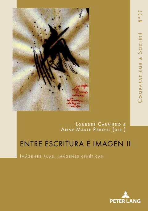 Cover image for book Entre escritura e imagen II