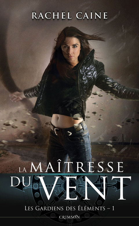 Cover image for book Les Gardiens des Eléments T01