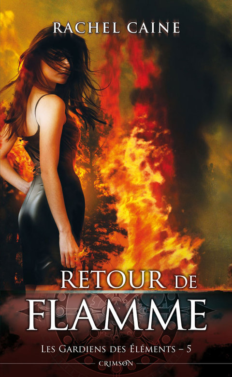 Cover image for book Les gardiens des éléments T05
