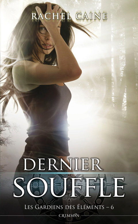 Cover image for book Les gardiens des éléments T06