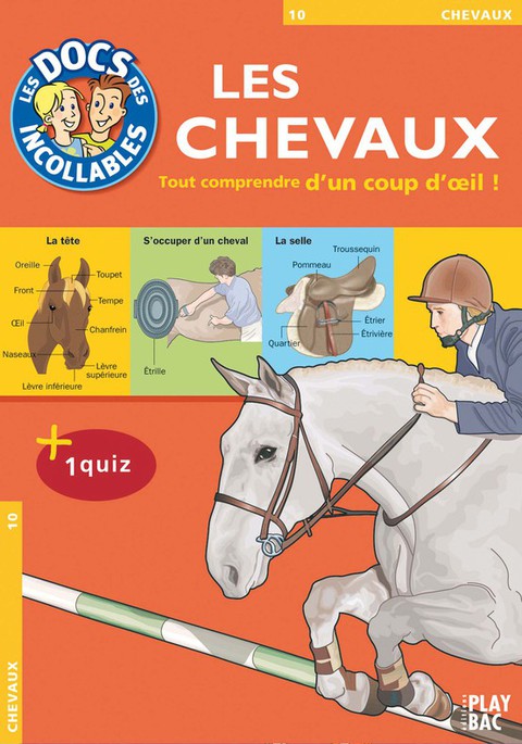 Cover image for book Les Incollables : Les Chevaux