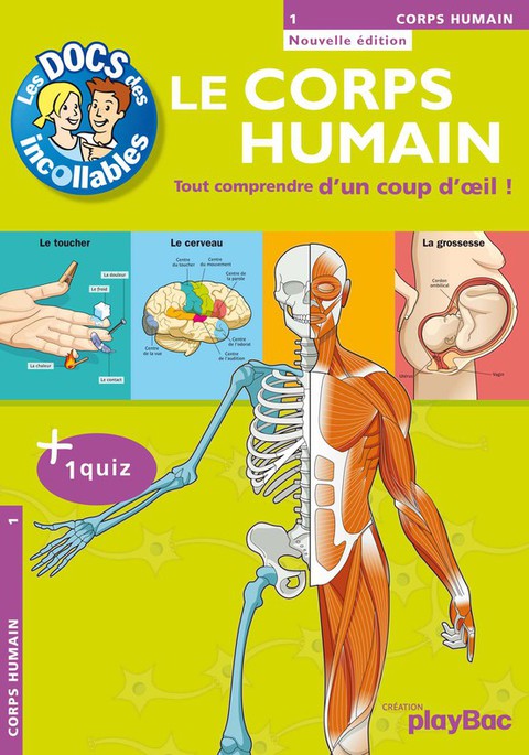 Cover image for book Les Incollables : Le Corps Humain