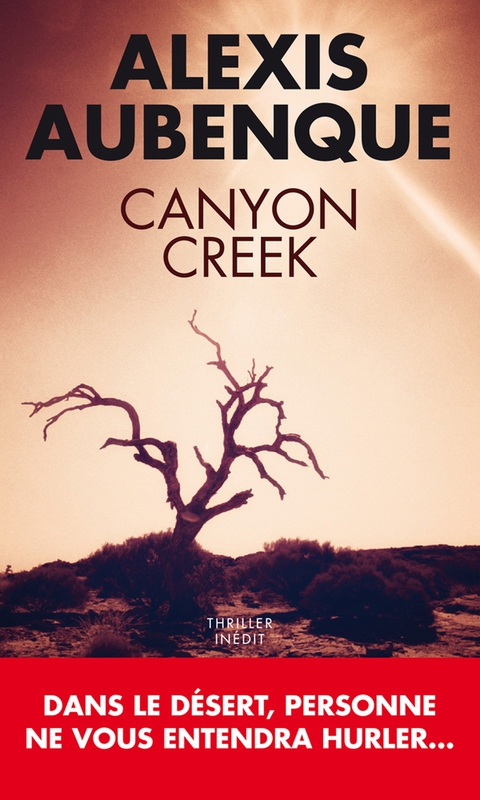 Cover image for book Canyon Creek