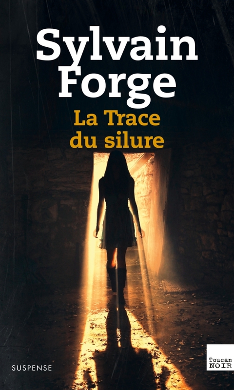Cover image for book La Trace du silure