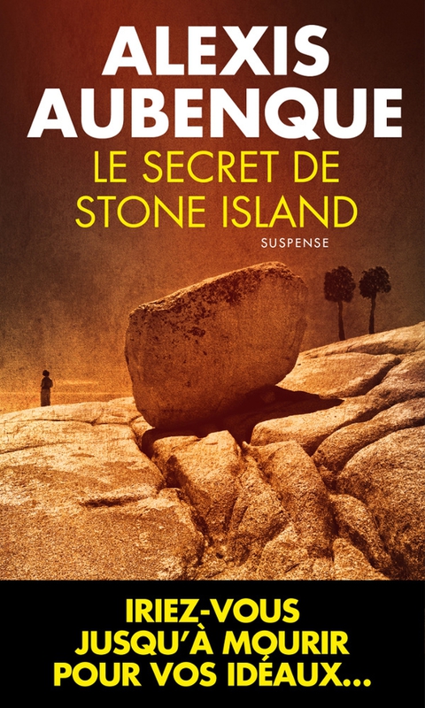Cover image for book Le Secret de Stone Island