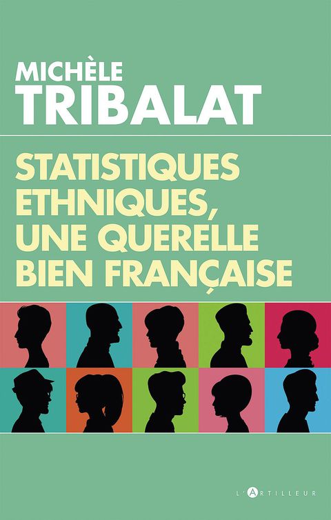 Cover image for book Statistiques ethniques, une polémique bien française