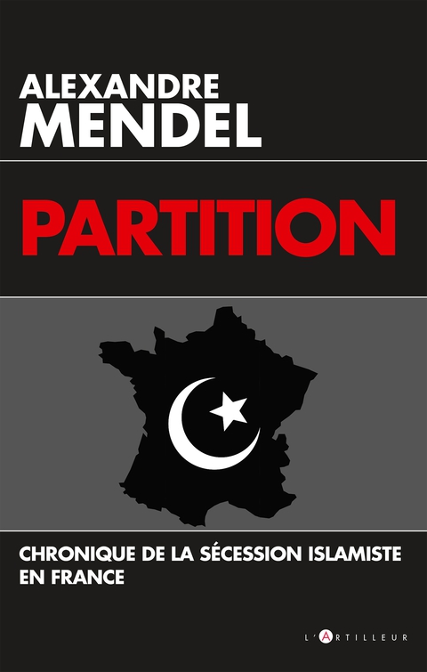 Cover image for book Partition
