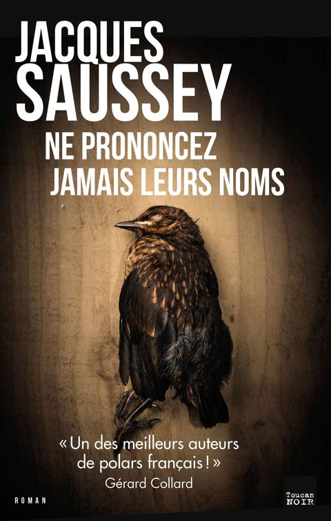 Cover image for book Ne prononcez jamais leurs noms