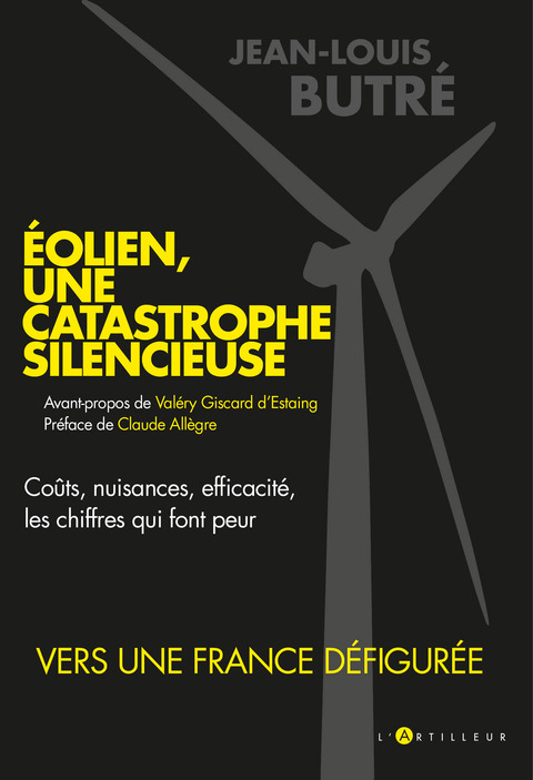 Cover image for book Eolien, une catastrophe silencieuse