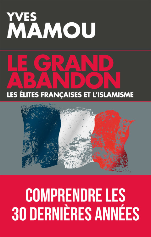 Cover image for book Le grand abandon