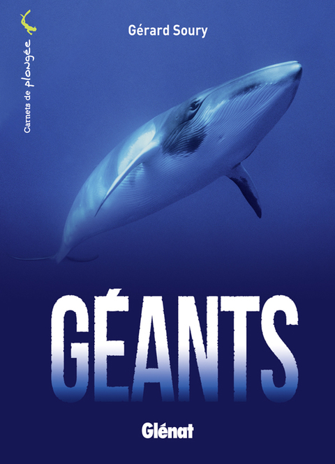 Cover image for book Géants