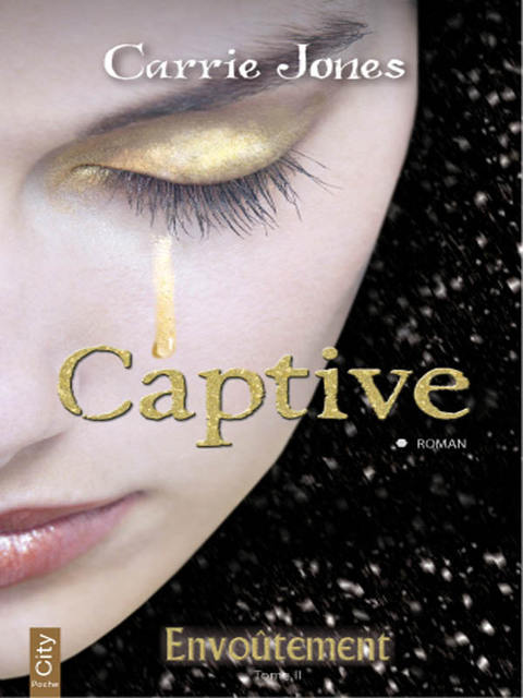 Cover image for book Captive