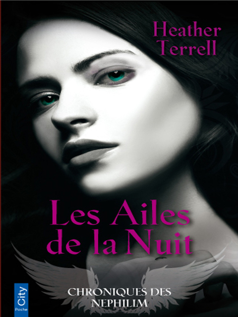 Cover image for book Les ailes de la nuit