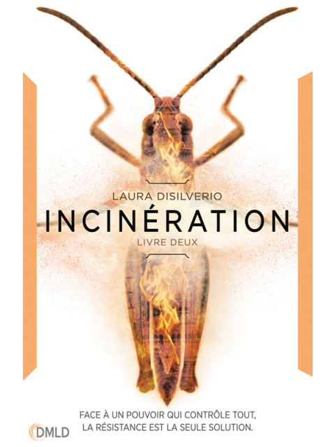 Cover image for book Incinération