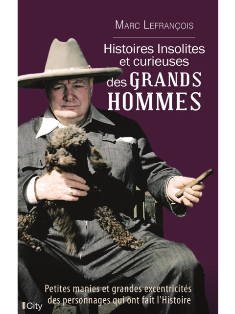 Cover image for book Histoires insolites et curieuses des grands hommes