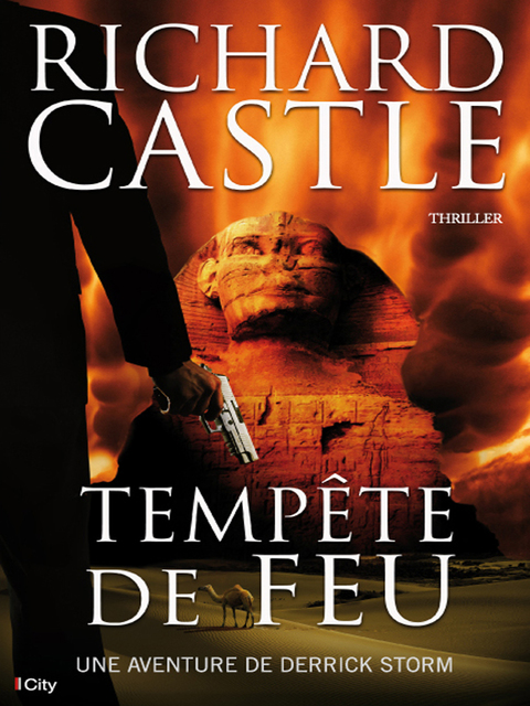 Cover image for book Tempête de Feu