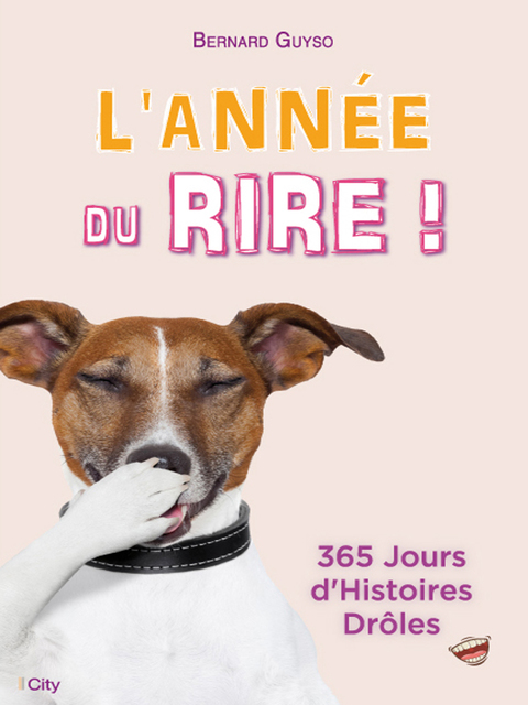Cover image for book L'année du rire